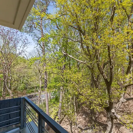 Ambria Dune * 슈비노우이스쳬